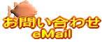 ₢킹 eMail